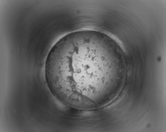 X0000103141423200808291328