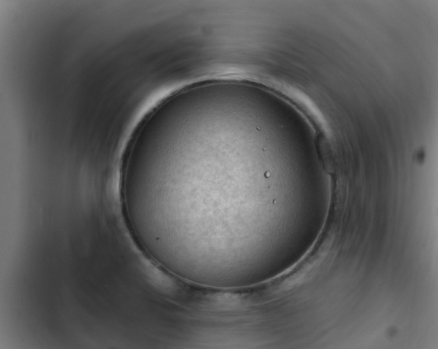 X0000103141424200808291328