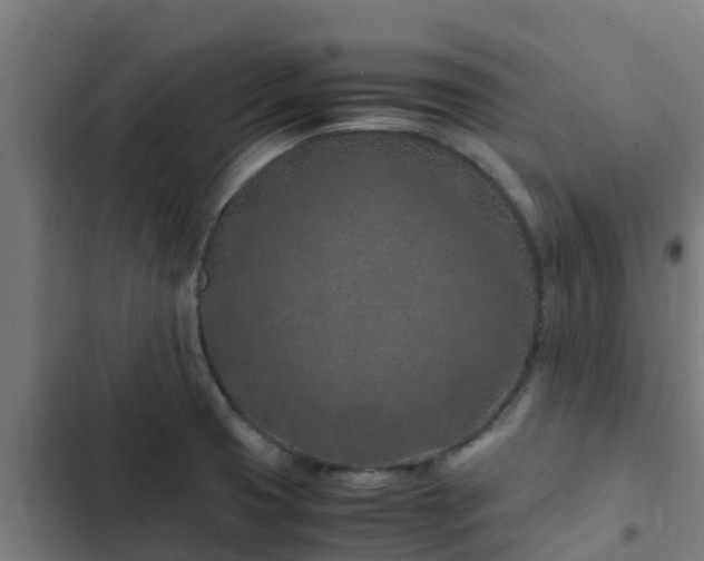 X0000103141425200808291328