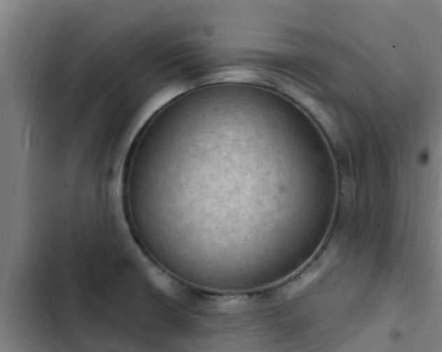 X0000103141426200808291328