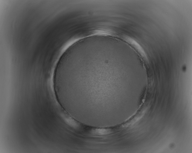 X0000103141427200808291328