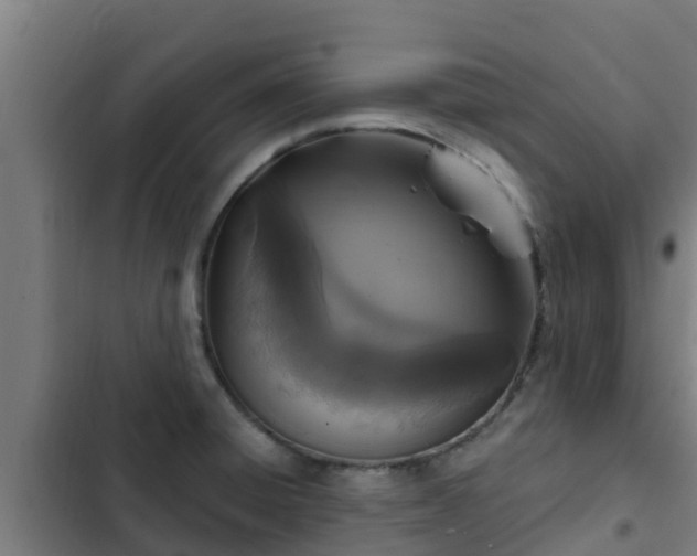 X0000103141428200808291328