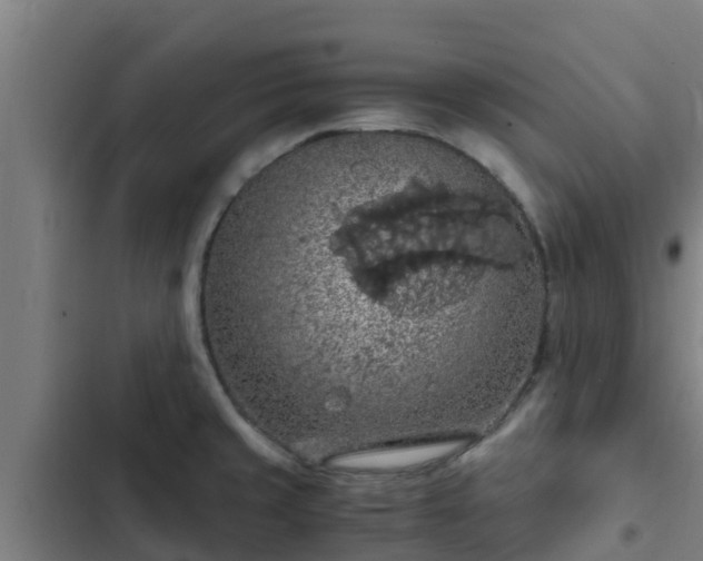 X0000103141429200808291328