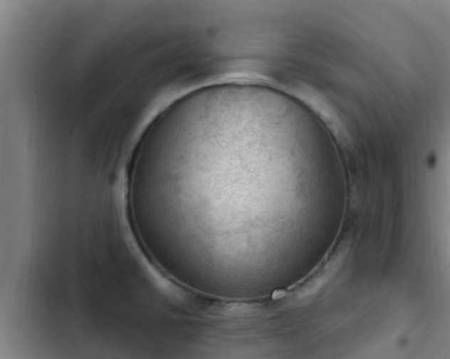 X0000103141430200808291328