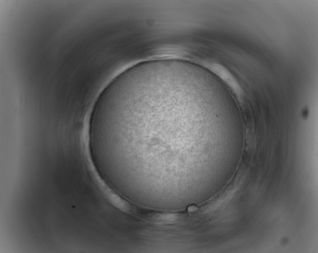 X0000103141431200808291328