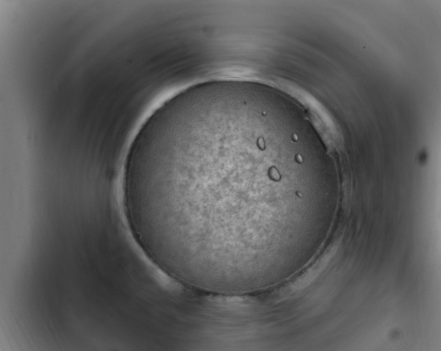 X0000103141432200808291328