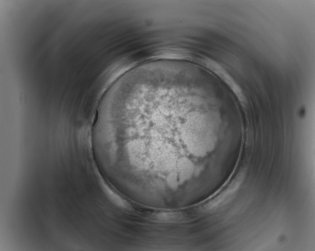 X0000103141433200808291328