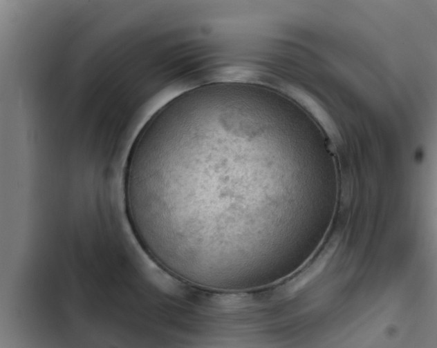 X0000103141434200808291328