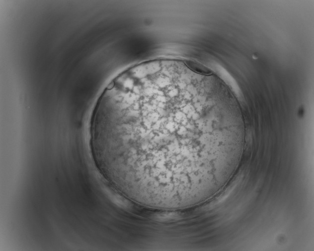 X0000103141435200808291328