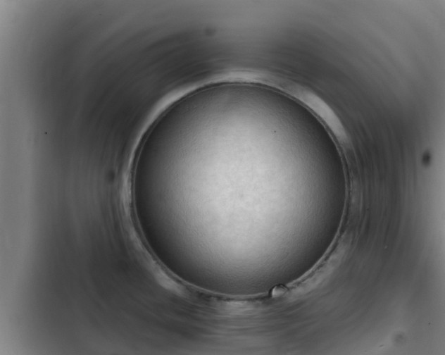 X0000103141436200808291328