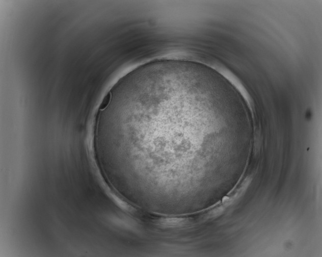 X0000103141437200808291328