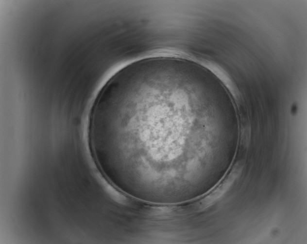 X0000103141438200808291328