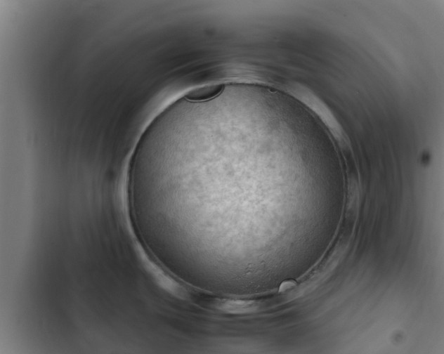 X0000103141439200808291328