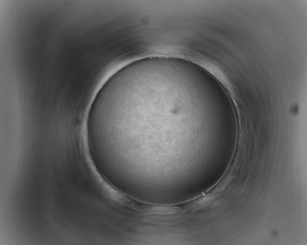 X0000103141440200808291328