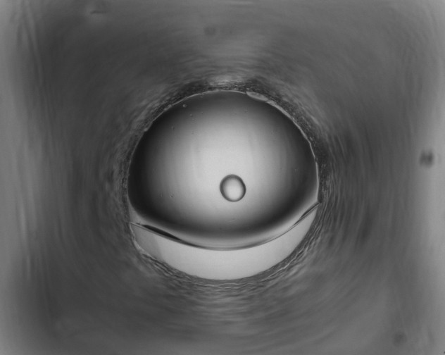 X0000103141441200808291328