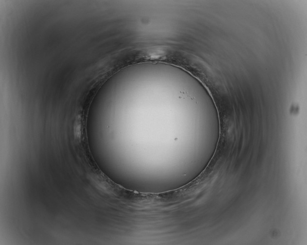 X0000103141442200808291328