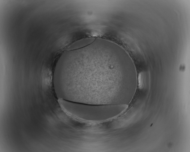 X0000103141443200808291328