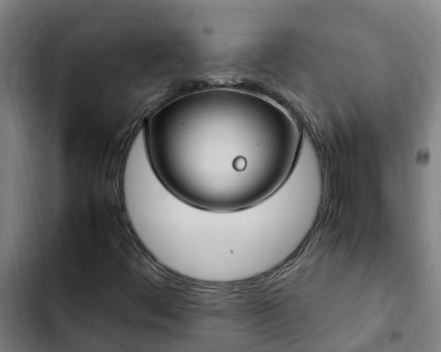 X0000103141444200808291328