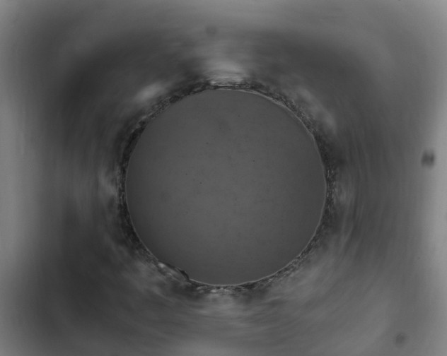 X0000103141445200808291328