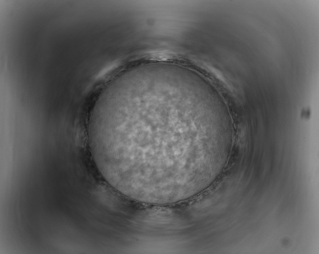 X0000103141446200808291328