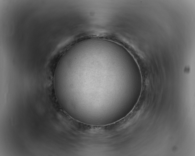 X0000103141447200808291328