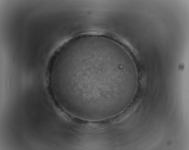 X0000103141448200808291328