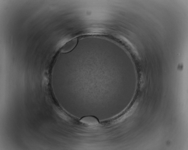 X0000103141449200808291327