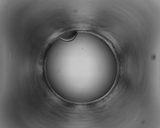 X0000103141451200808291327