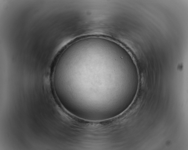 X0000103141452200808291327