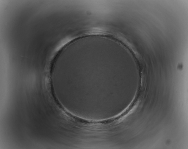 X0000103141453200808291327