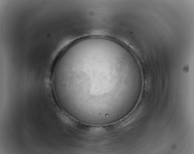 X0000103141454200808291327