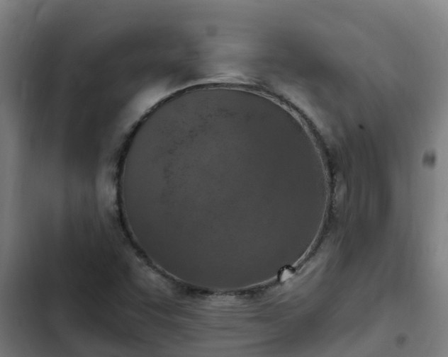 X0000103141455200808291327