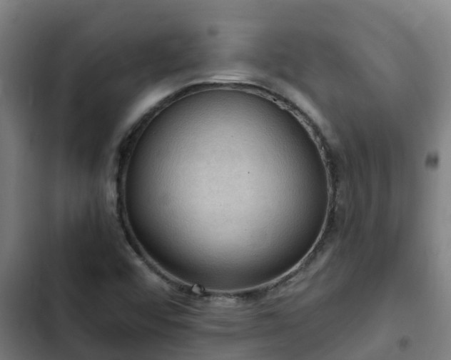 X0000103141456200808291327