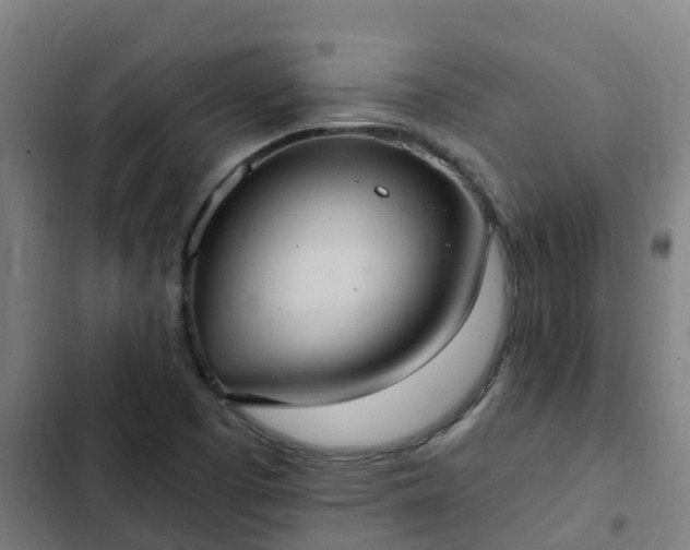 X0000103141457200808291327