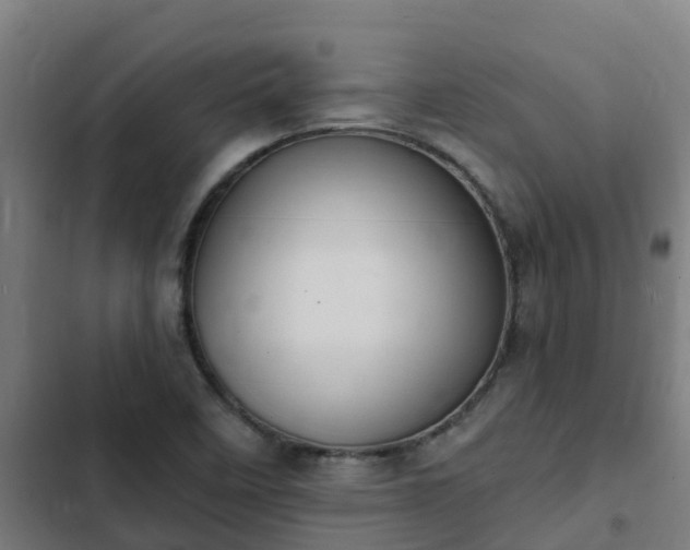 X0000103141458200808291327