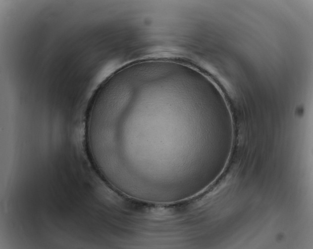 X0000103141459200808291327