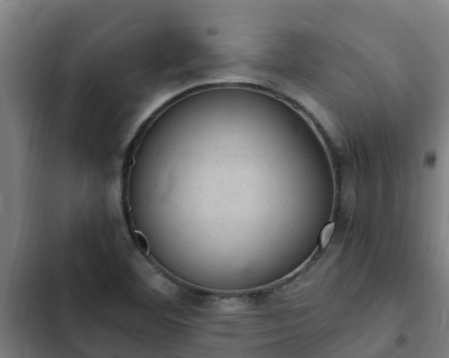 X0000103141460200808291327