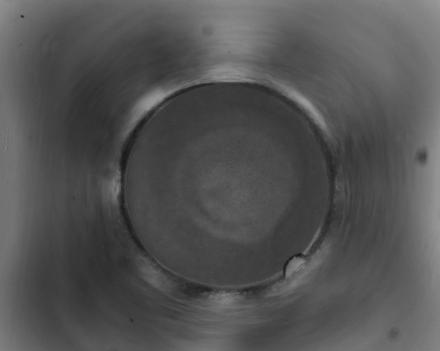 X0000103141461200808291327