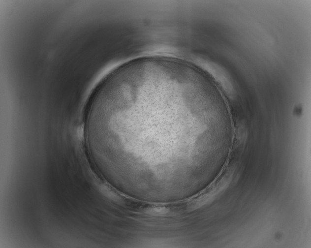 X0000103141462200808291327