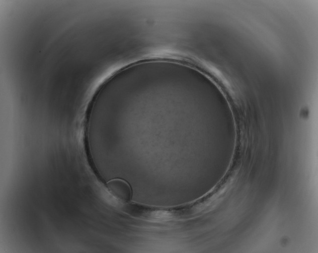 X0000103141463200808291327