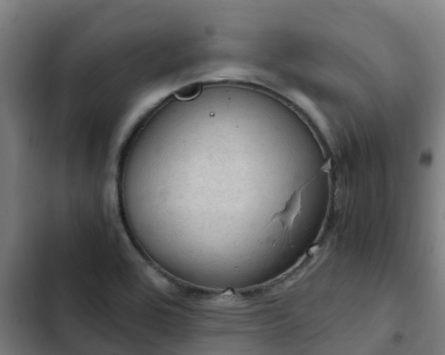 X0000103141464200808291327