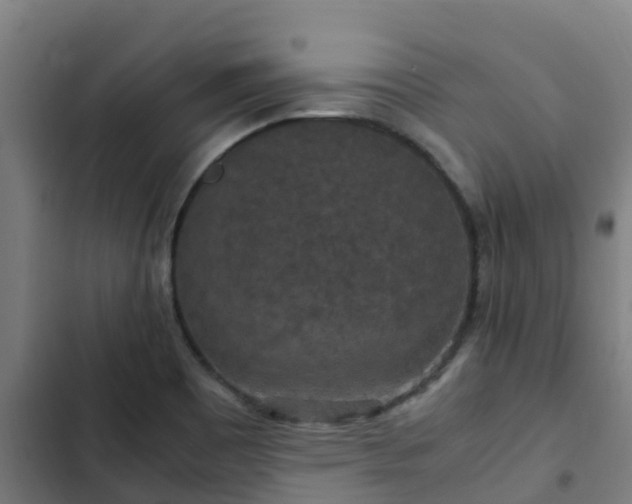 X0000103141465200808291327