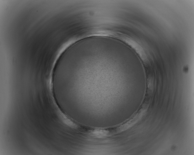 X0000103141466200808291327