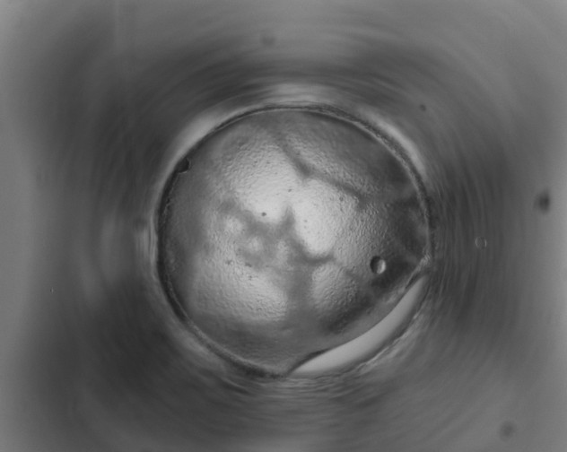 X0000103141467200808291327