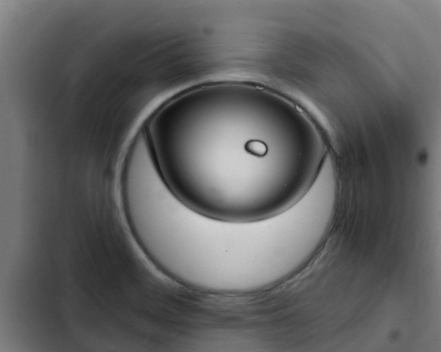 X0000103141468200808291327