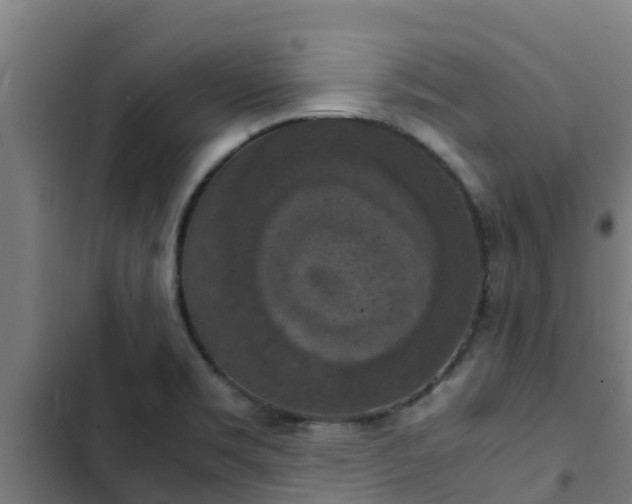 X0000103141469200808291327