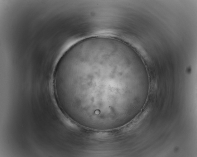 X0000103141470200808291327