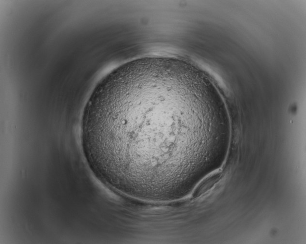 X0000103141471200808291327