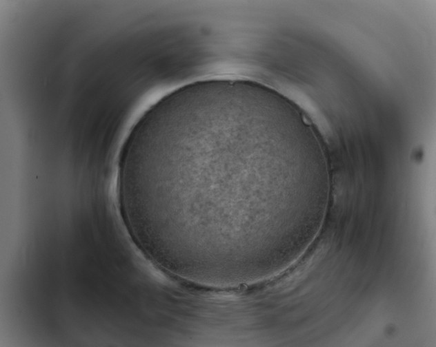 X0000103141472200808291327