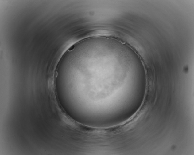 X0000103141473200808291327